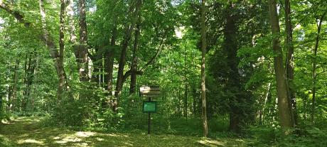 Ścieżka dendrologiczno-edukacyjna "Drzewa parku podworskiego w Jureczkowej" udostępniona dla ruchu turystycznego.
