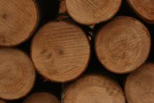 Obniżka cen drewna na cele opałowe