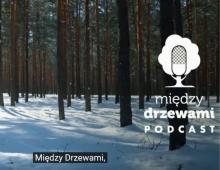 Podcast Między drzewami "Prof. Jarosław Socha o klimacie"